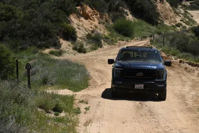 DSC_5891 (Large).JPG